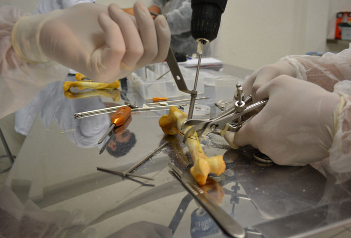 Veterinary students performing a procedure on an animal bone.