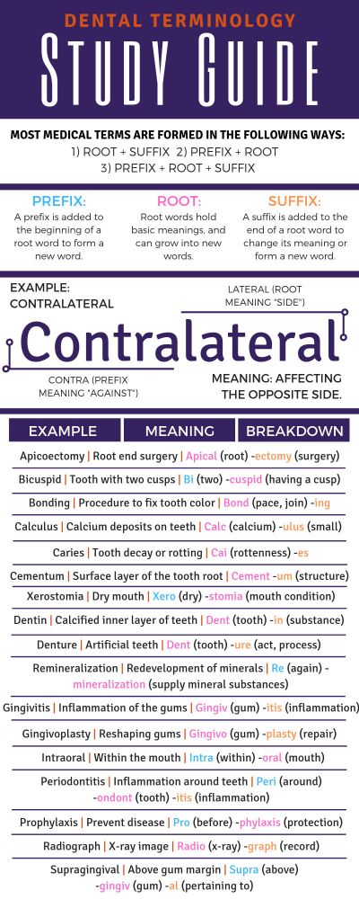 Dental Cheet Sheet with Terms