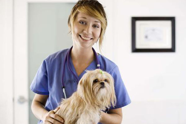 Veterinary Technician student with dog.