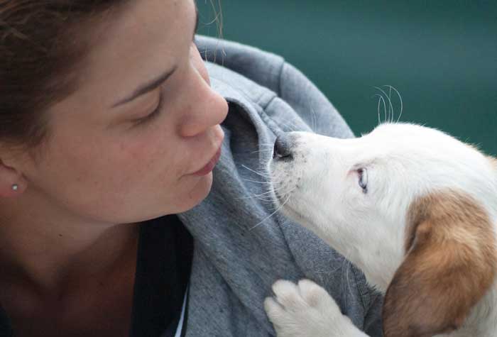 girl kissing white puppy