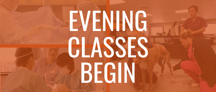 collage of mcc students training with text over that reads "evening classes begin"