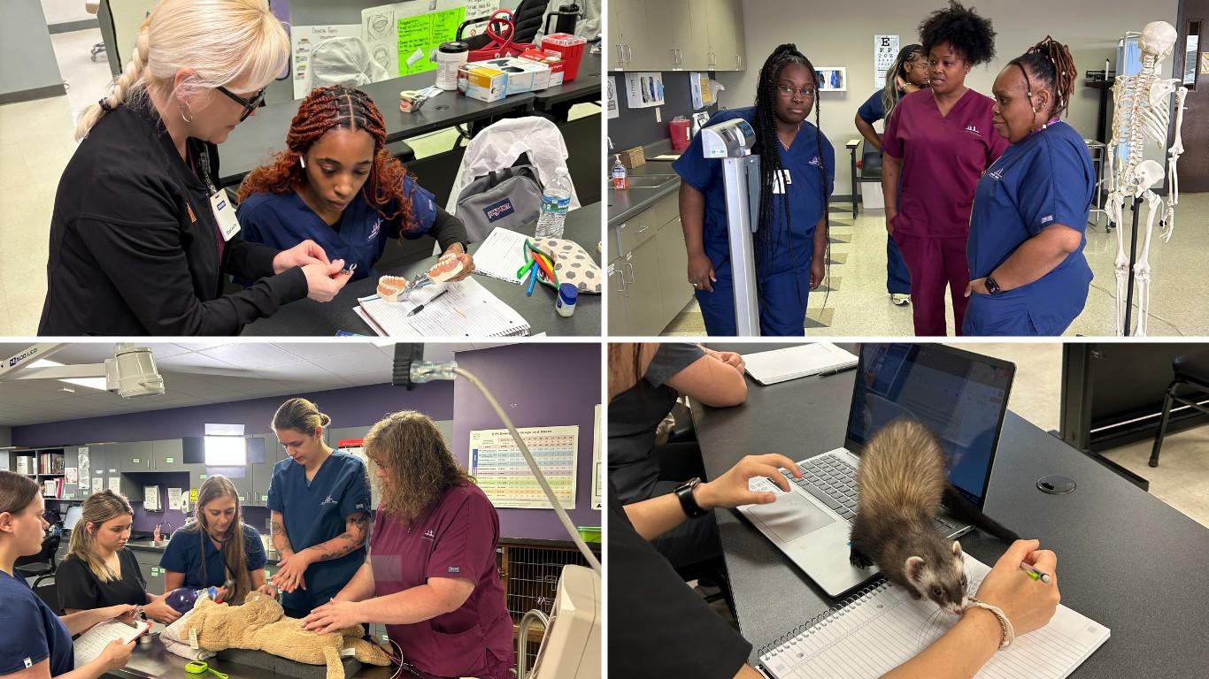 Collage of photos; medical assistant, dental assistant, veterinary assistant, veterinary technician