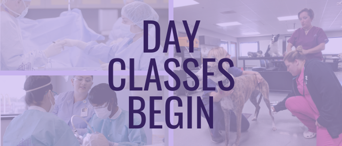 collage of mcc students training with text over that reads "day classes begin"