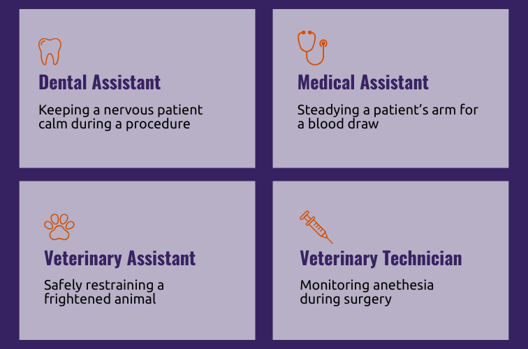 Infographic showing AI-resistant tasks for four careers: dental assistant, medical assistant, veterinary assistant, and veterinary technician, highlighting hands-on duties