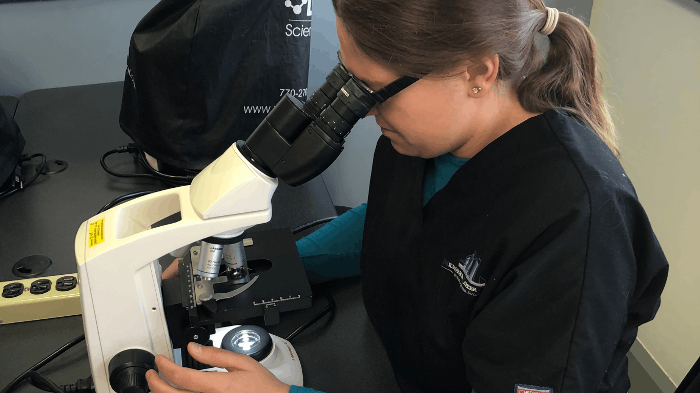 Student looking into microscope