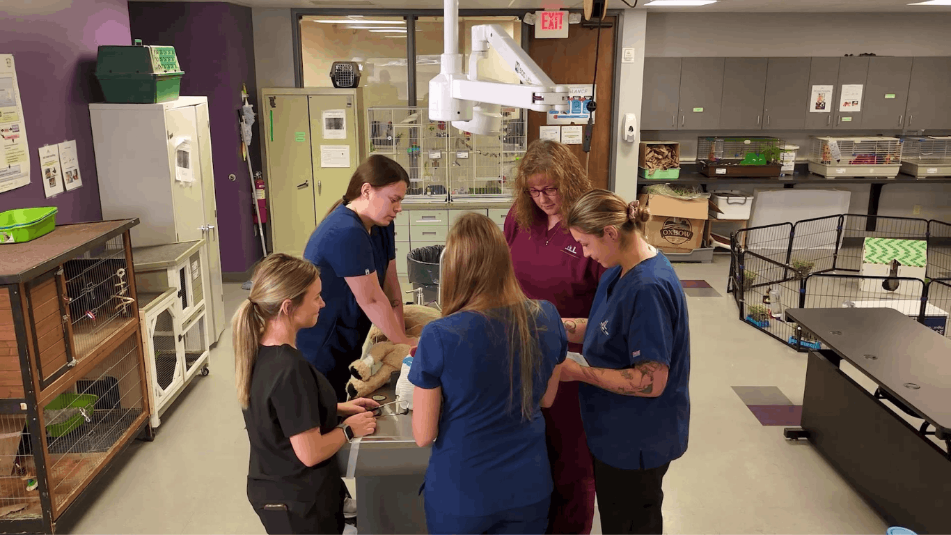 Five veterinary staff members in scrubs gather around a treatment table in a clinical lab, working together on a small animal. The room contains cages, pet enclosures, cabinets, and medical equipment, including an overhead exam light.